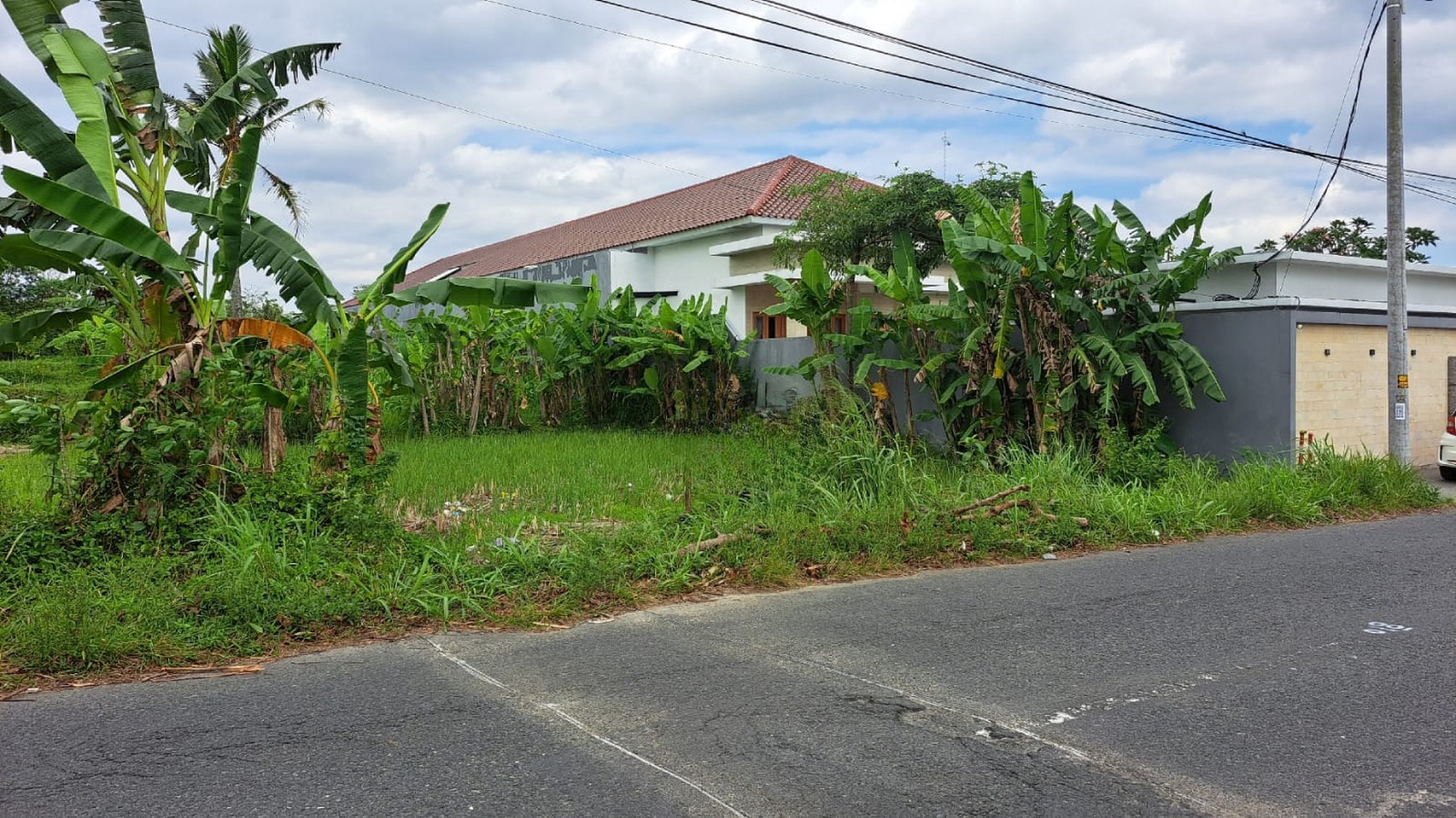 Tanah Luas 3122 Meter Persegi Lokasi di Jalan Palagan Donoharjo Ngaglik Sleman