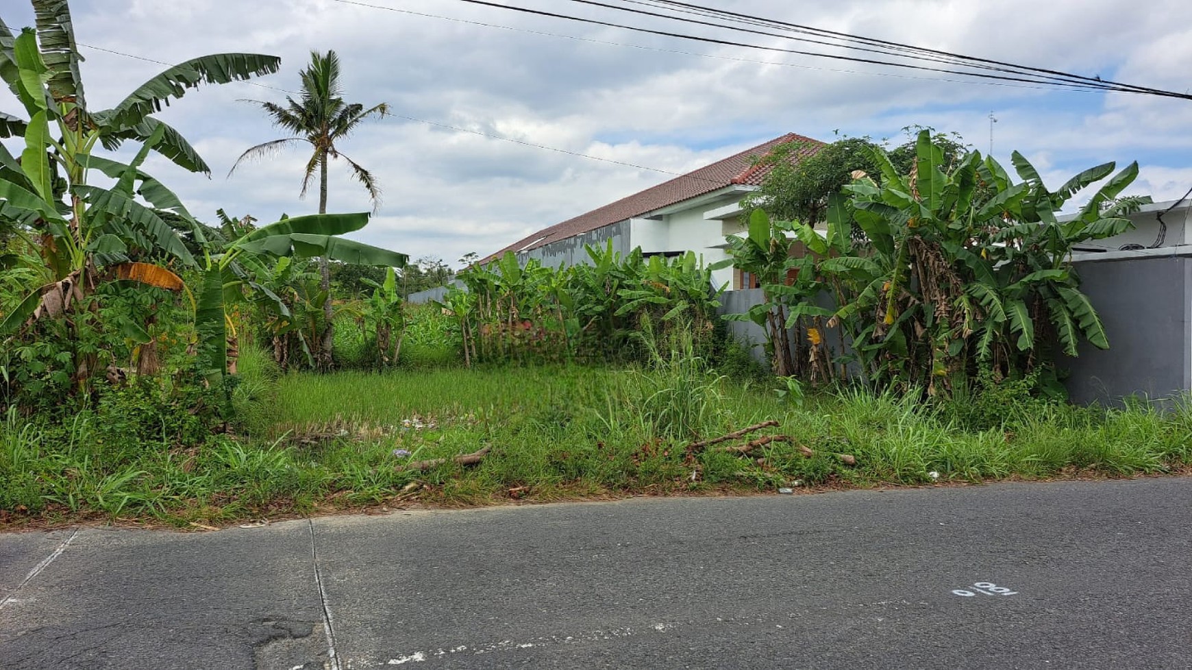 Tanah Luas 3122 Meter Persegi Lokasi di Jalan Palagan Donoharjo Ngaglik Sleman