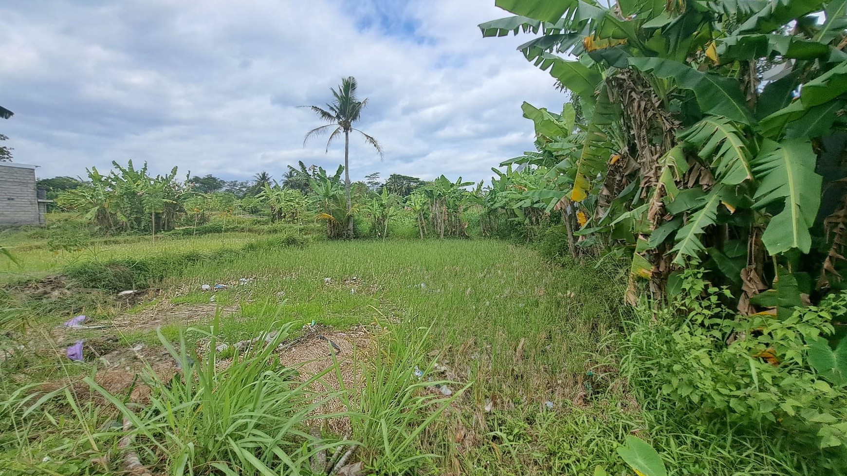 Tanah Luas 3122 Meter Persegi Lokasi di Jalan Palagan Donoharjo Ngaglik Sleman