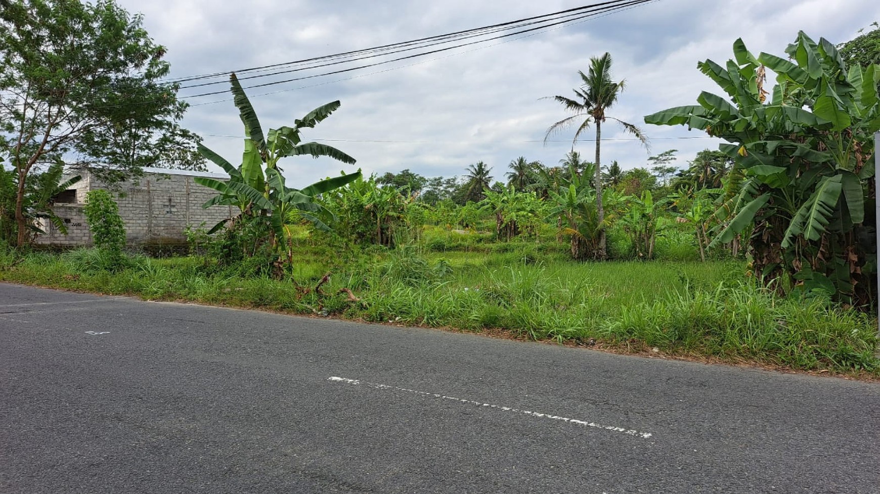 Tanah Luas 3122 Meter Persegi Lokasi di Jalan Palagan Donoharjo Ngaglik Sleman