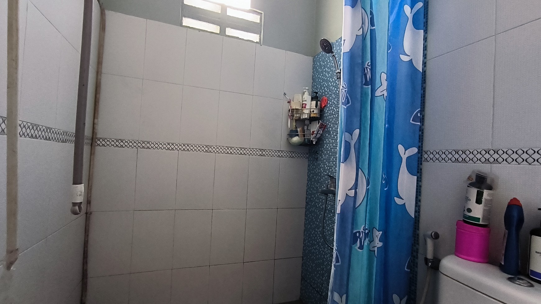 Rumah bagus bonus Tanah luas