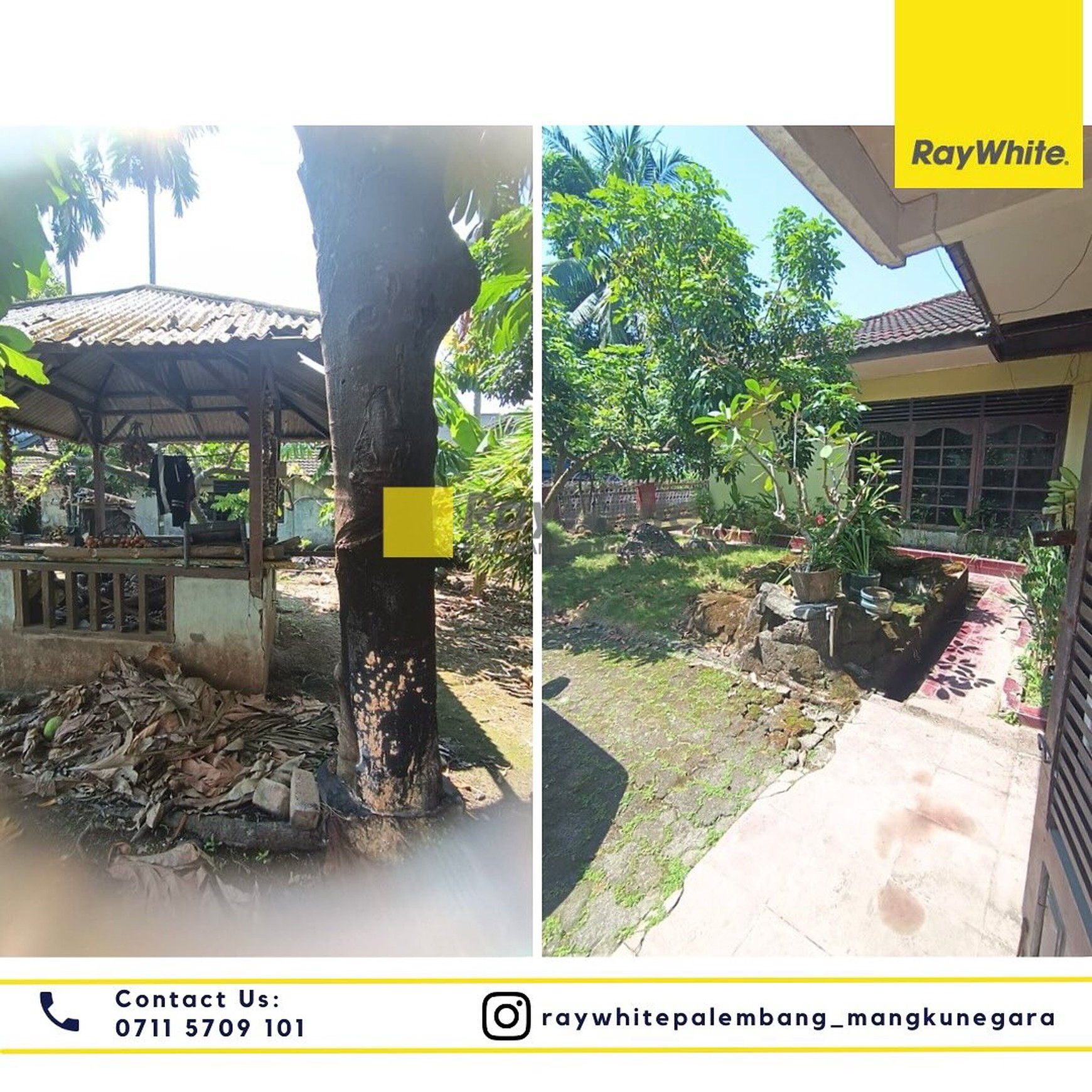 Disewakan Rumah + Tanah di Jl. PHDM XIII Kel. Kalidoni Kec. Kalidoni, Kota Palembang