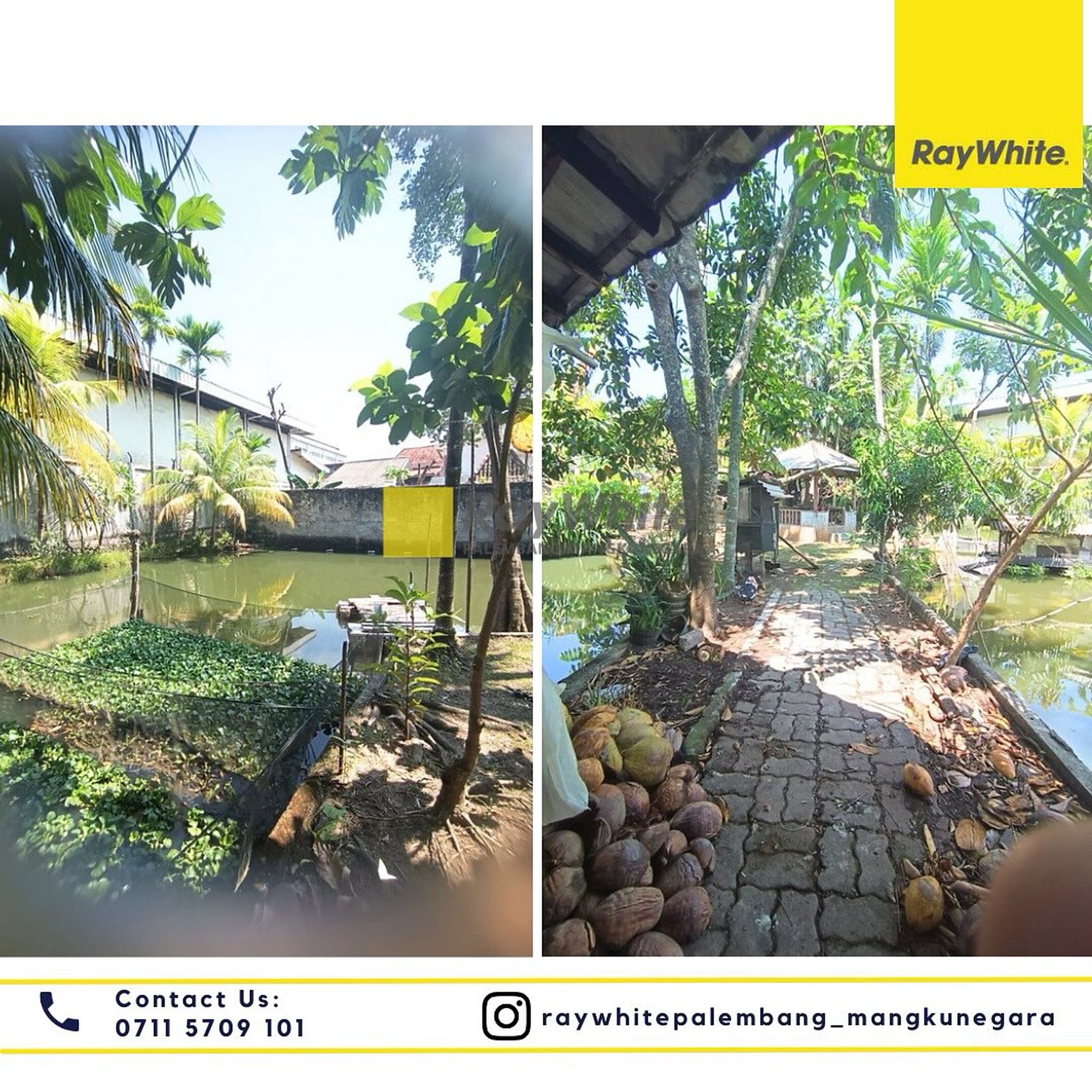Disewakan Rumah + Tanah di Jl. PHDM XIII Kel. Kalidoni Kec. Kalidoni, Kota Palembang