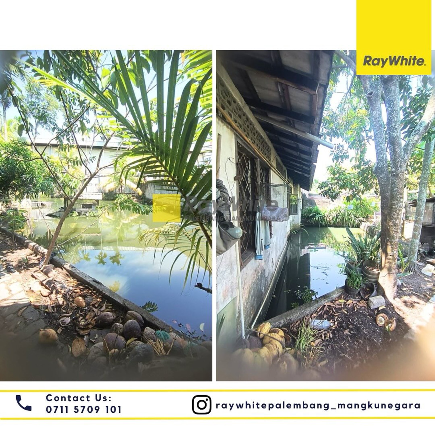 Disewakan Rumah + Tanah di Jl. PHDM XIII Kel. Kalidoni Kec. Kalidoni, Kota Palembang