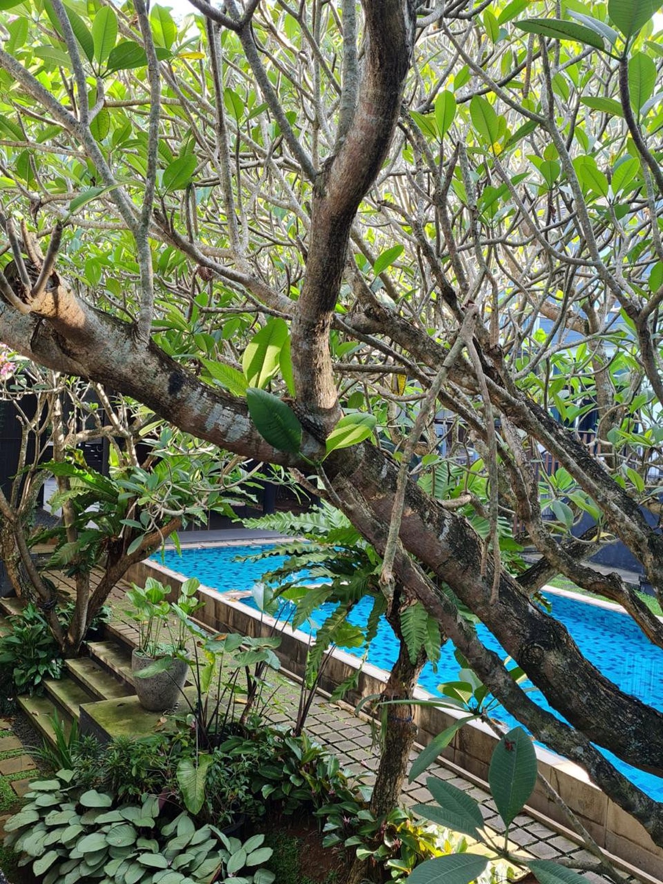 Rumah Bagus Di Shizen Residence Bintaro, Pondok Aren Tangerang Selatan
