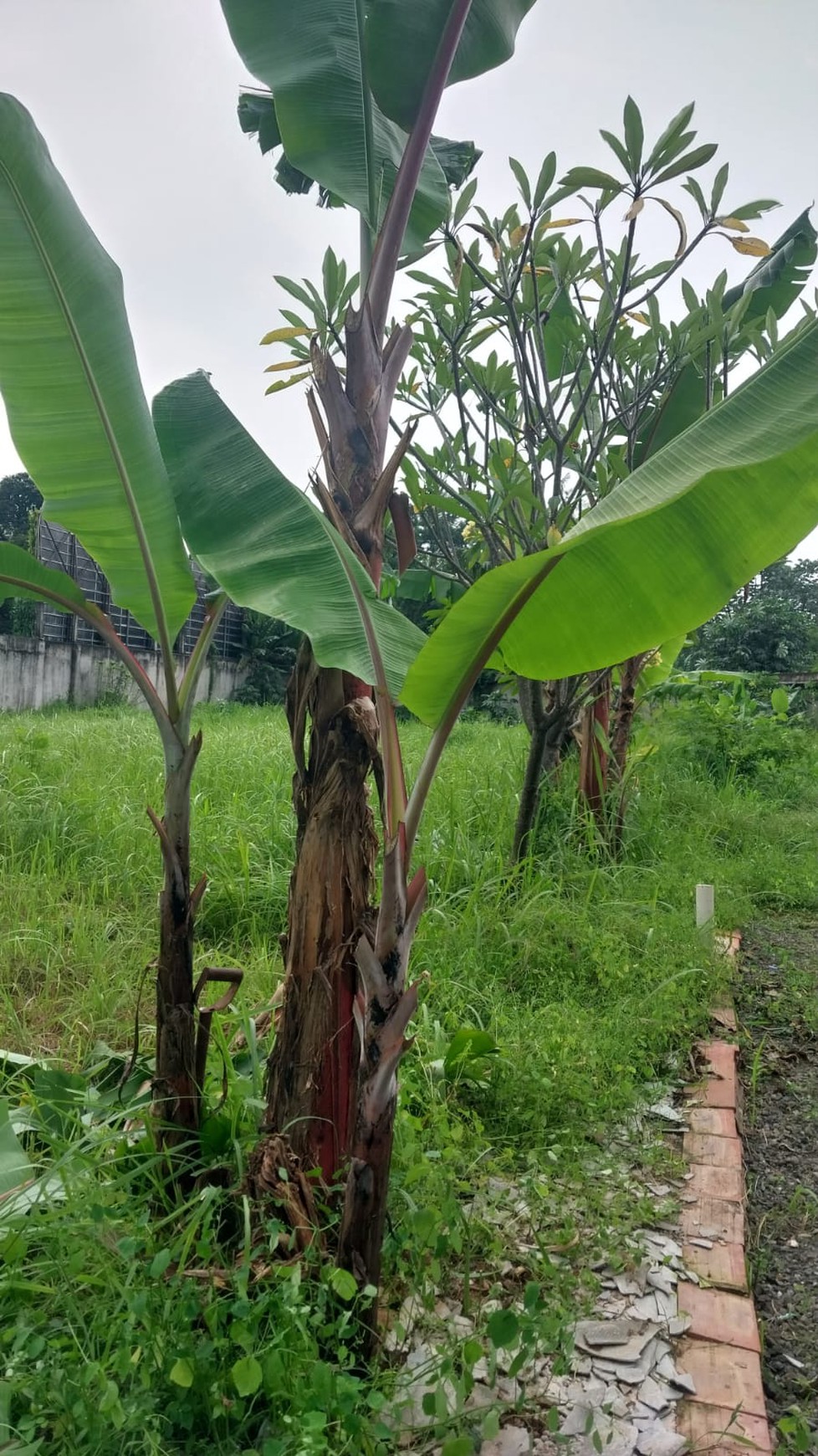 TANAH DI PEJATEN BARAT