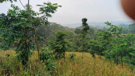 Tanah Kebun Luas di Waluran Mandiri Sukabumi, cocok untuk  Alam , Glamping atau perkebunan