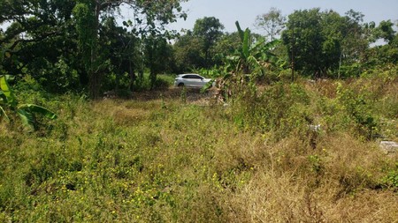 Dijual Tanah Strategis Manyar, Gresik Sebelah Tol Gresik-Surabaya