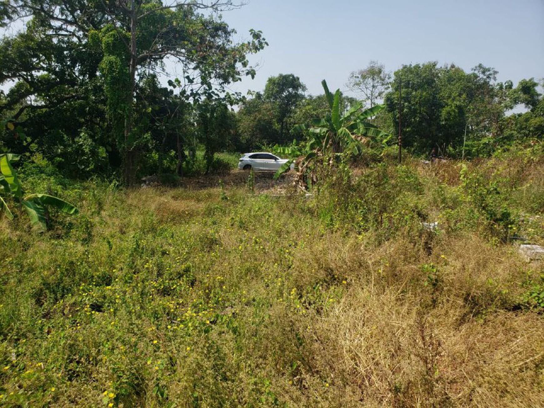 Dijual Tanah Strategis Manyar, Gresik Sebelah Tol Gresik-Surabaya