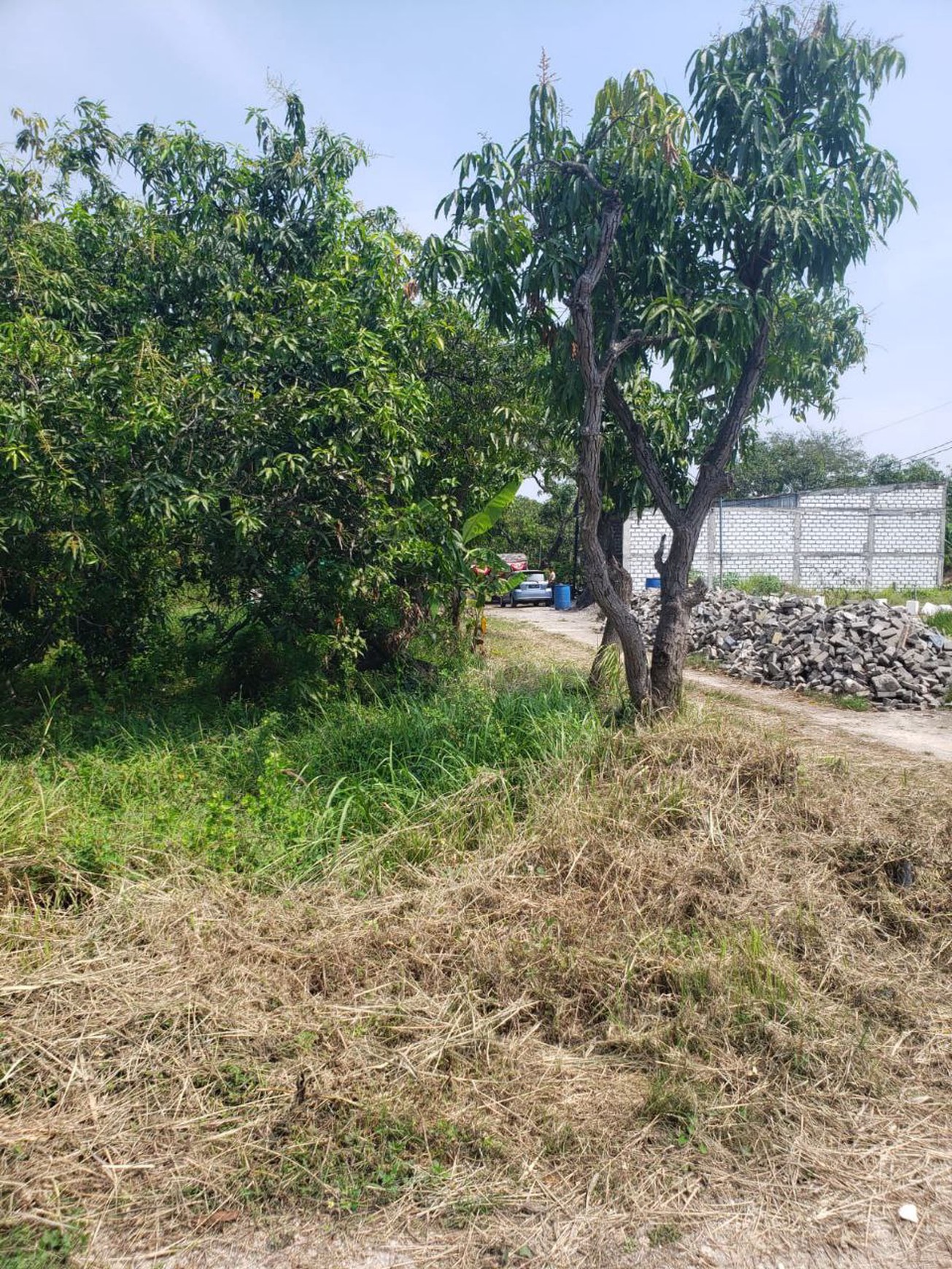 Dijual Tanah Strategis Manyar, Gresik Sebelah Tol Gresik-Surabaya
