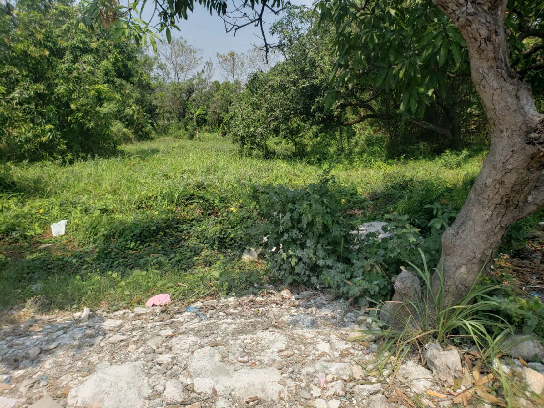 Dijual Tanah Strategis Manyar, Gresik Sebelah Tol Gresik-Surabaya