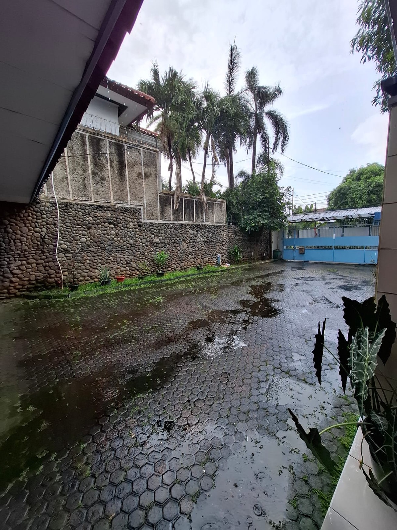 Rumah Bagus Di Jl Asem Cipete Jakarta Selatan