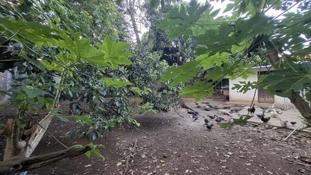 Kavling/ Tanah Luas 770 m2 Lokasi di Sukaraja Cicendo Bandung Jabar