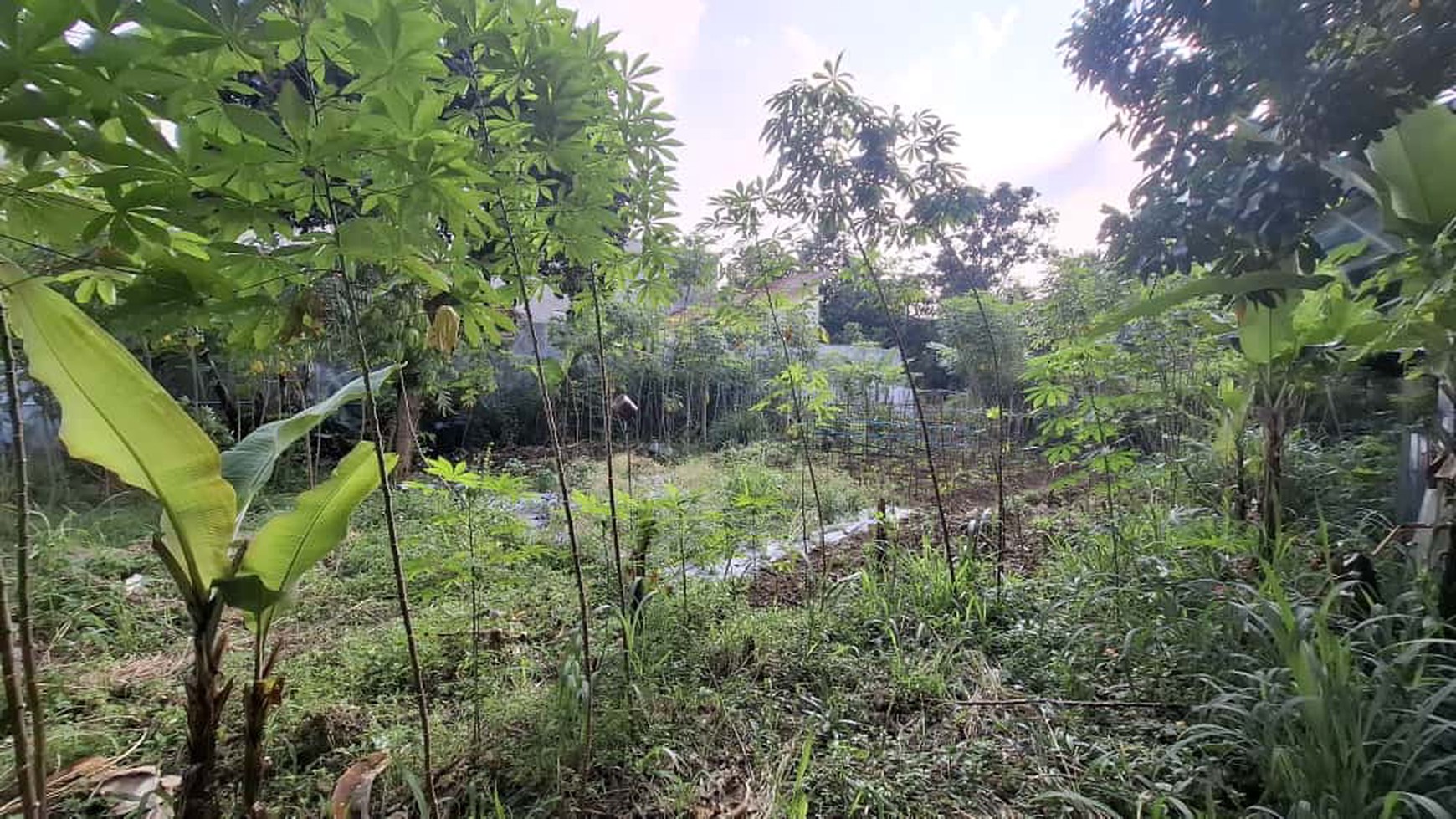 Kavling/ Tanah Luas 770 m2 Lokasi di Sukaraja Cicendo Bandung Jabar