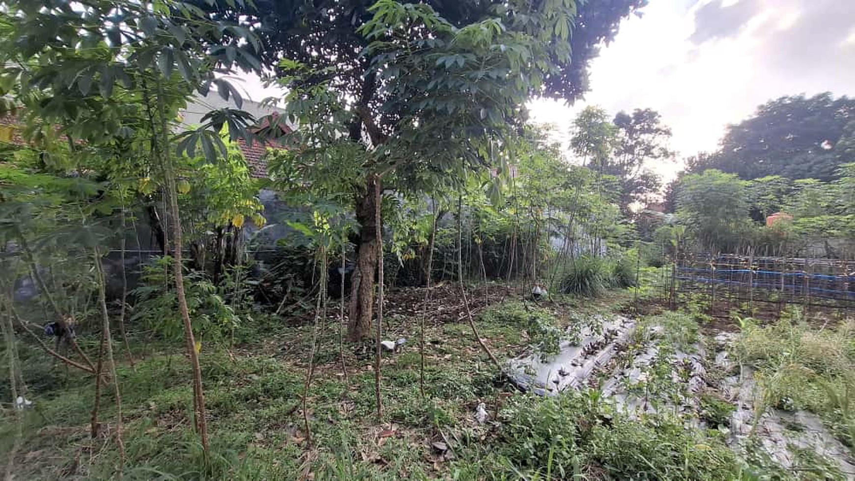 Kavling/ Tanah Luas 770 m2 Lokasi di Sukaraja Cicendo Bandung Jabar