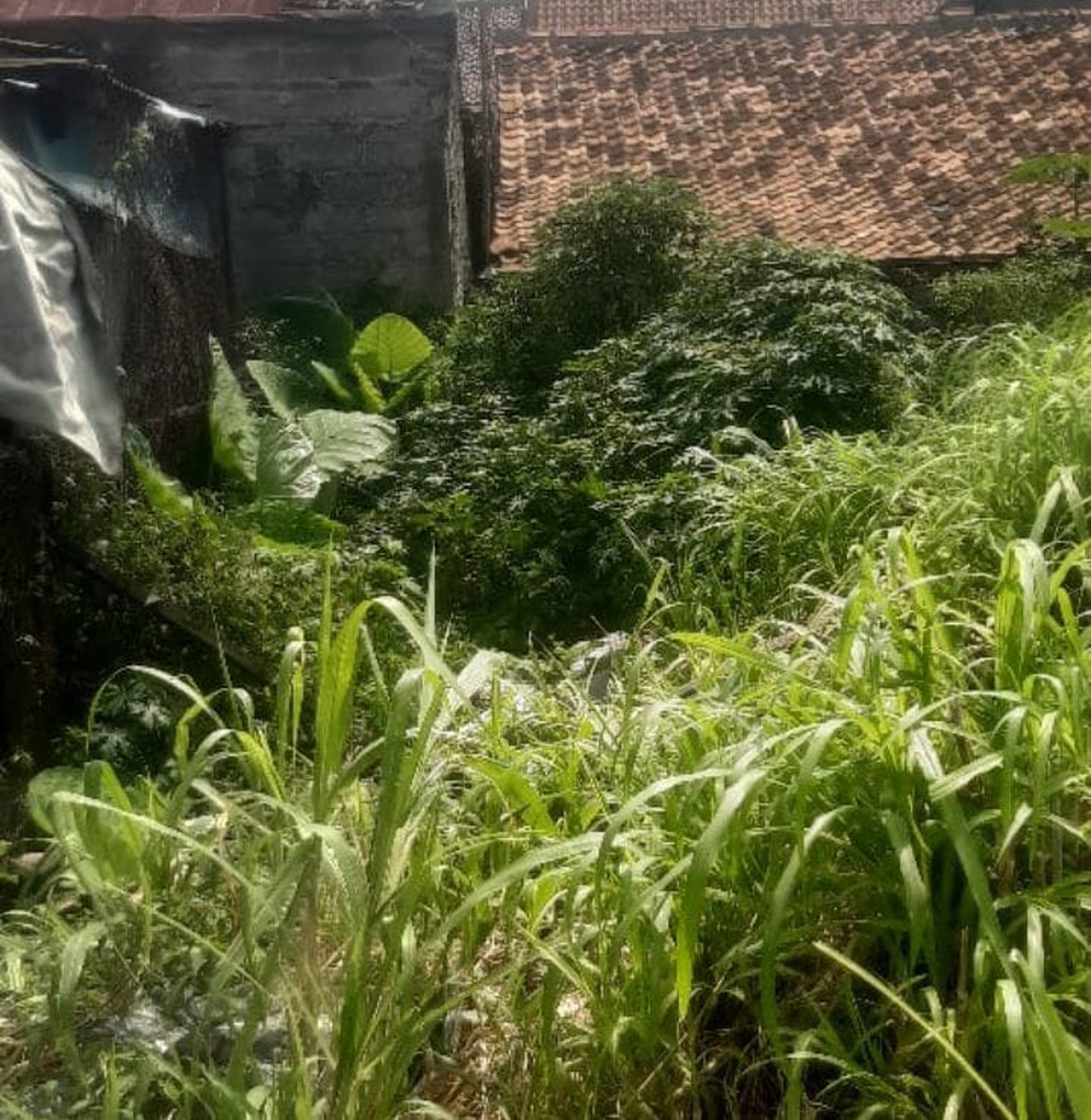 Kavling/ Lahan Tanah 108 m2 Lokasi Dekat Jl. TB Simatupang, Di Poltangan, Jakarta Selatan