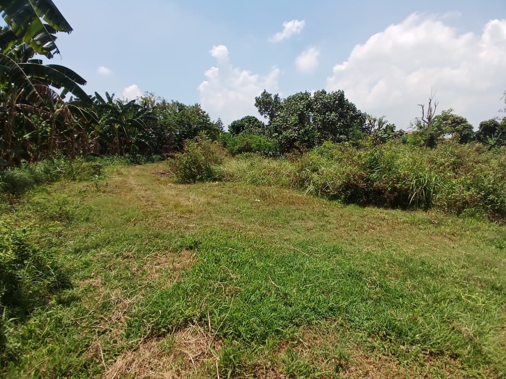 Tanah 1136 Meter Persegi, Lpkasi Dekat Stadion Sasana Krida, Berbah, Sleman