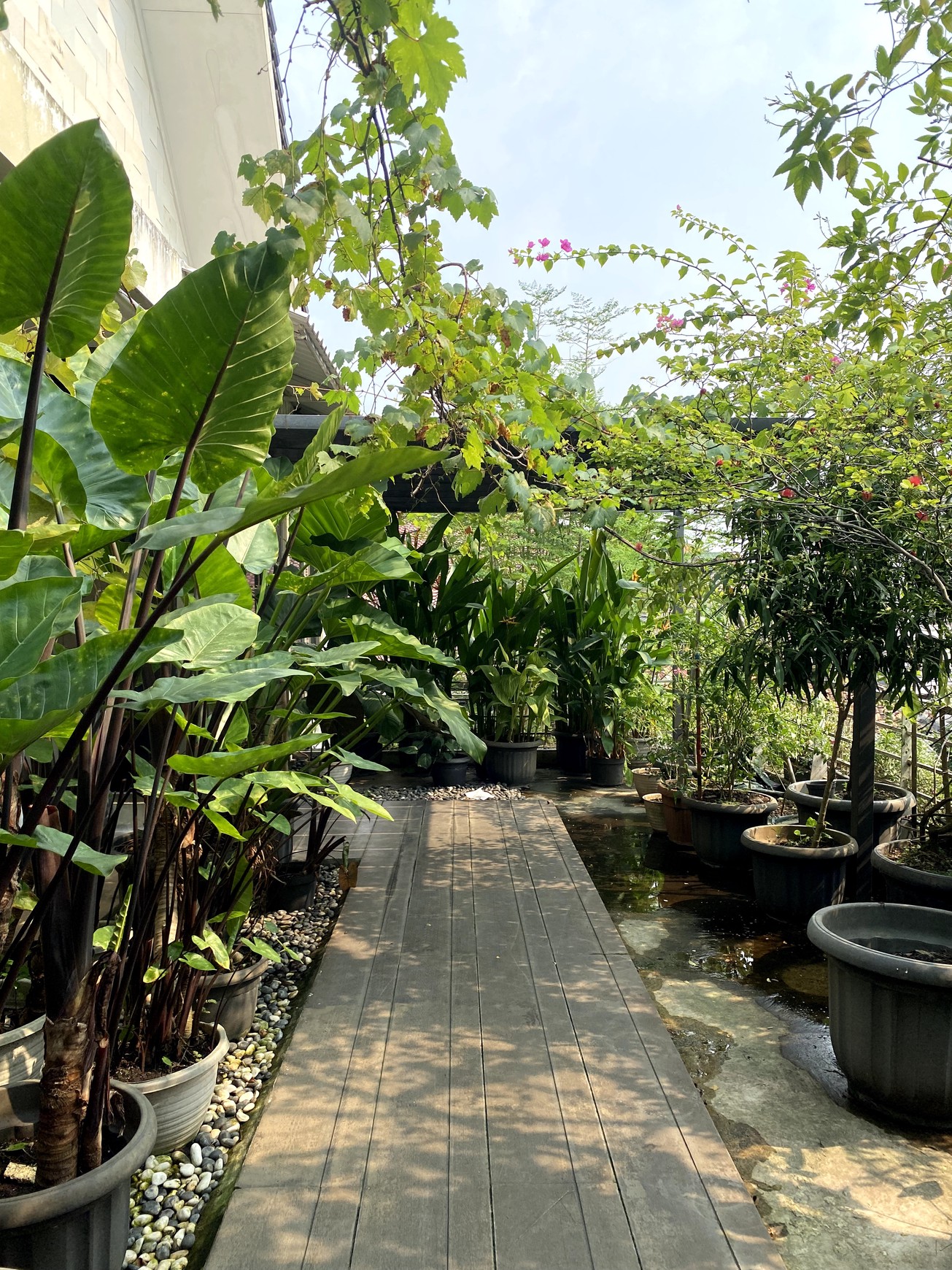 For Sale Rumah Mewah Siap Huni Duren Tiga, Jakarta Selatan