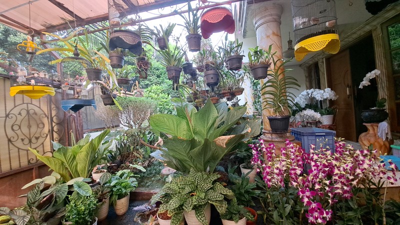 Rumah daerah Kalibata, Pancoran-Jaksel