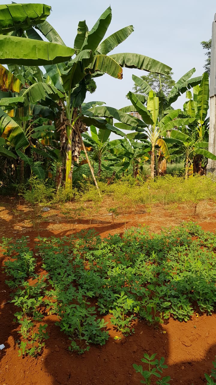 Dijual Tanah Datar Darat/Kering Asli (Bukan Urukan), Kota Bekasi