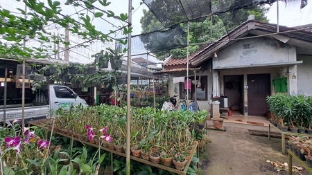 Tanah kebun anggrek