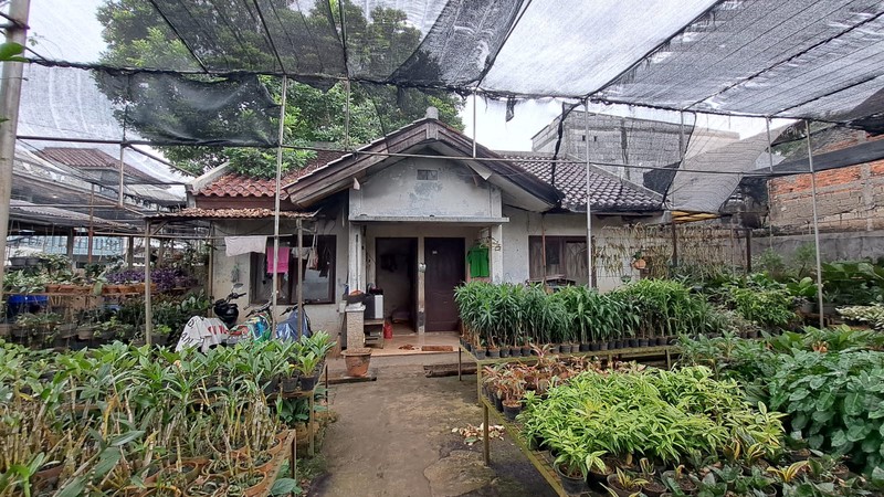 Tanah kebun anggrek