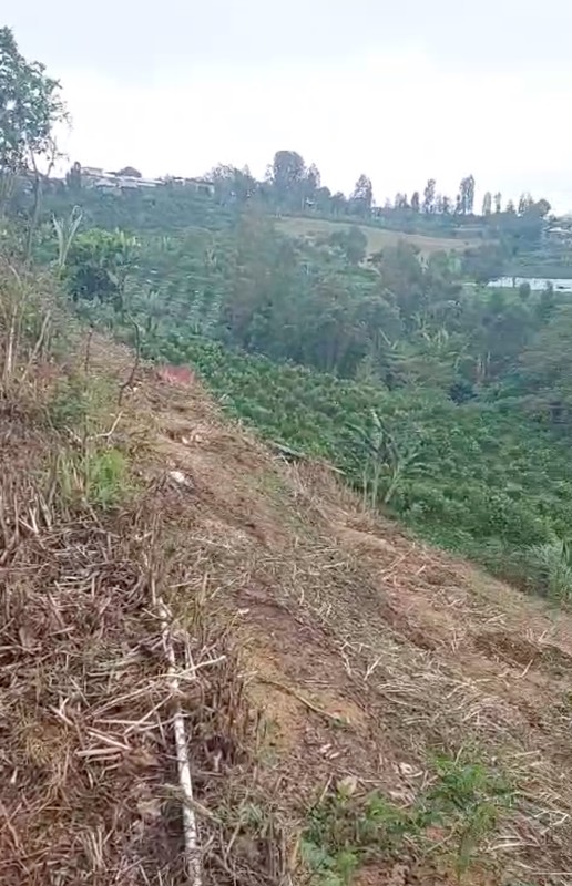 Land Freehold Expansive Countryside Kintamani Bali