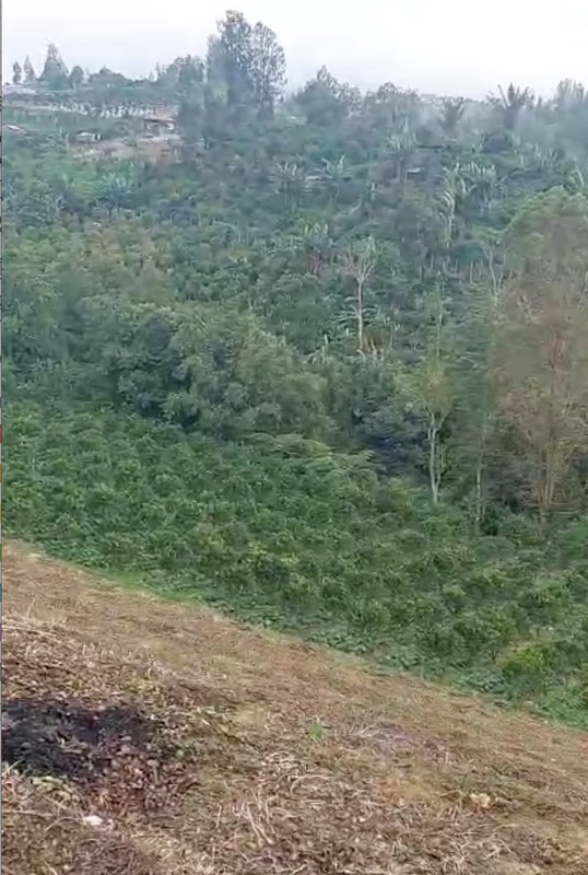 Land Freehold Expansive Countryside Kintamani Bali