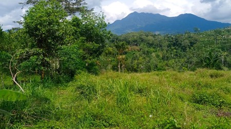 Land Freehold 16000 sqm In Kintamani Bali