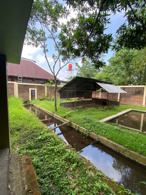 Rumah Tinggal 2 Lantai Dekat Jalan Palagan, Sariharjo, Ngaglik, Sleman