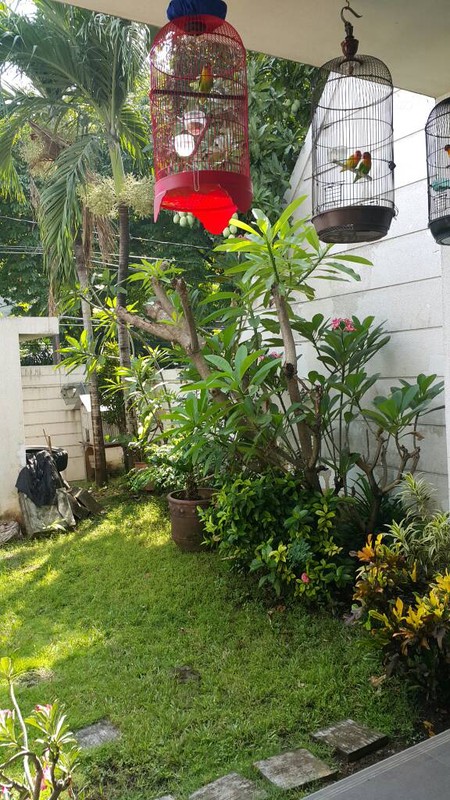 &#8206;&#8203;Dijual rumah luxury minimalis ada private pool ( Dharmahusada Indah)
