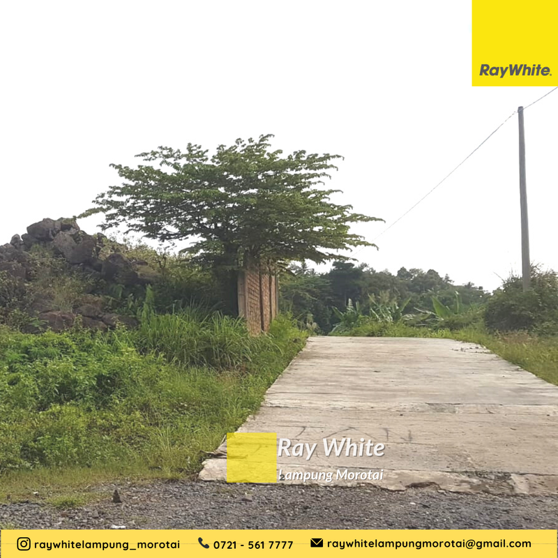 Dijual Tanah View Laut dan kota