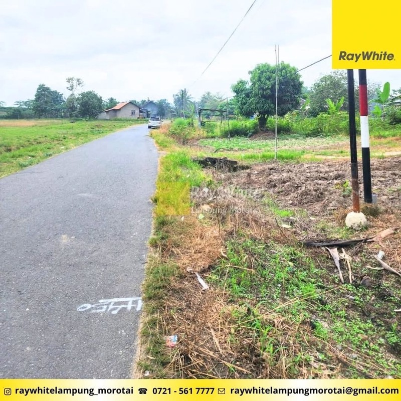 Dijual Tanah Luas 1,8 hektar di tanjung sari Natar