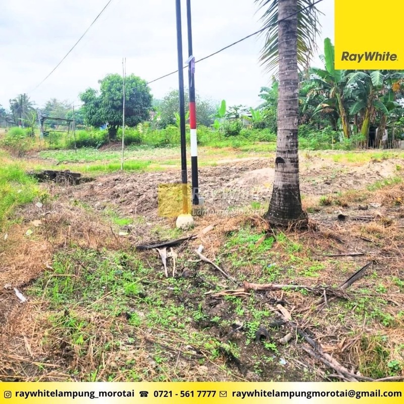 Dijual Tanah Luas 1,8 hektar di tanjung sari Natar