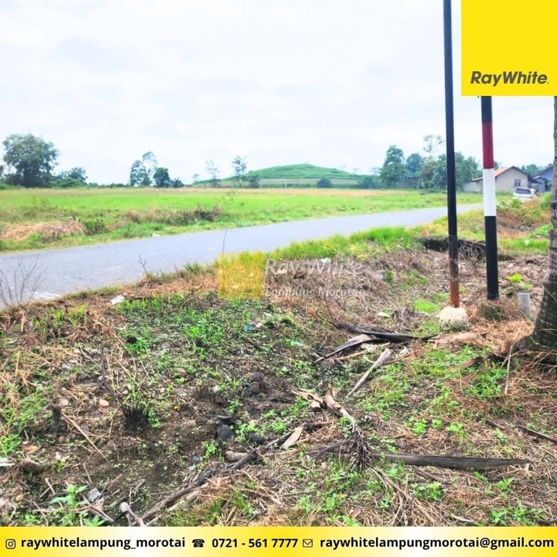 Dijual Tanah Luas 1,8 hektar di tanjung sari Natar