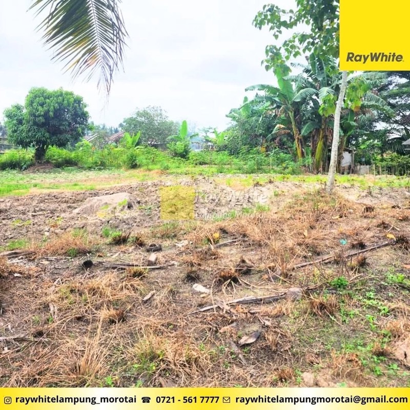 Dijual Tanah Luas 1,8 hektar di tanjung sari Natar