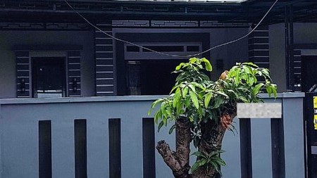 Rumah Bagus Di Anggrek Loka Graha Raya Bintaro Jaya