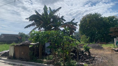 Tanah 300 Lokasi Dekat Pamela 7, Tirtomartani Kalasan Sleman