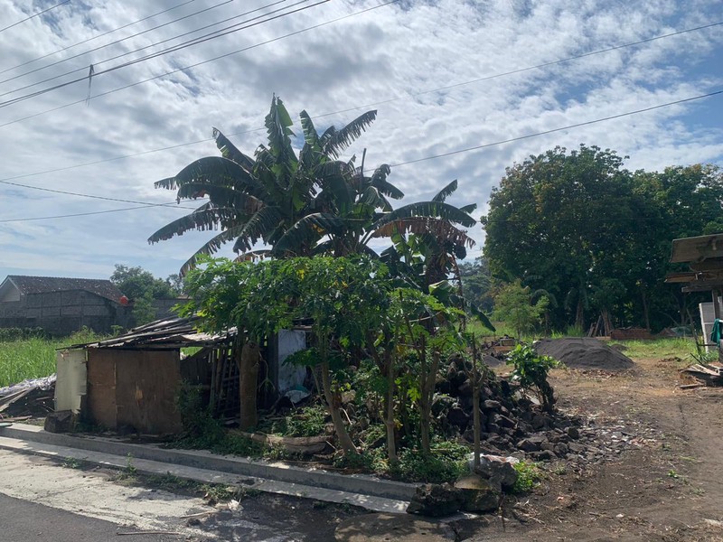 Tanah 300 Lokasi Dekat Pamela 7, Tirtomartani Kalasan Sleman