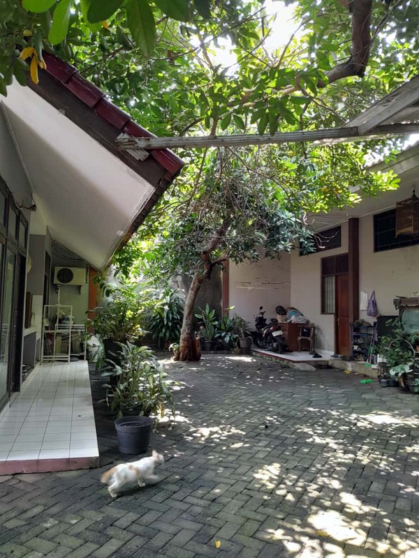 Rumah Bagus Di Jl Baiti Salmah Tegal Rotan Tangerang Selatan