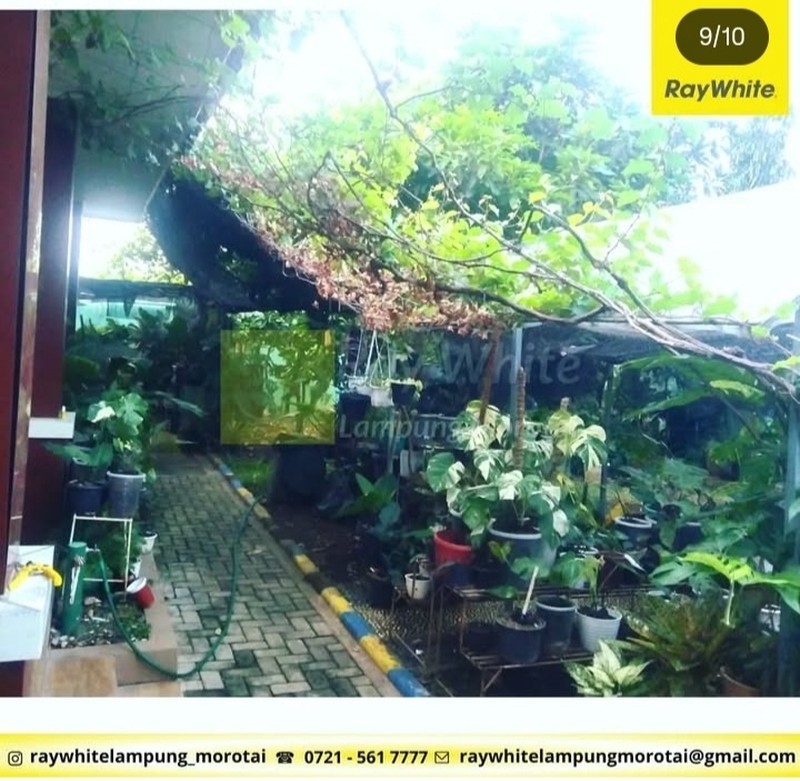 Dijual rumah mewah