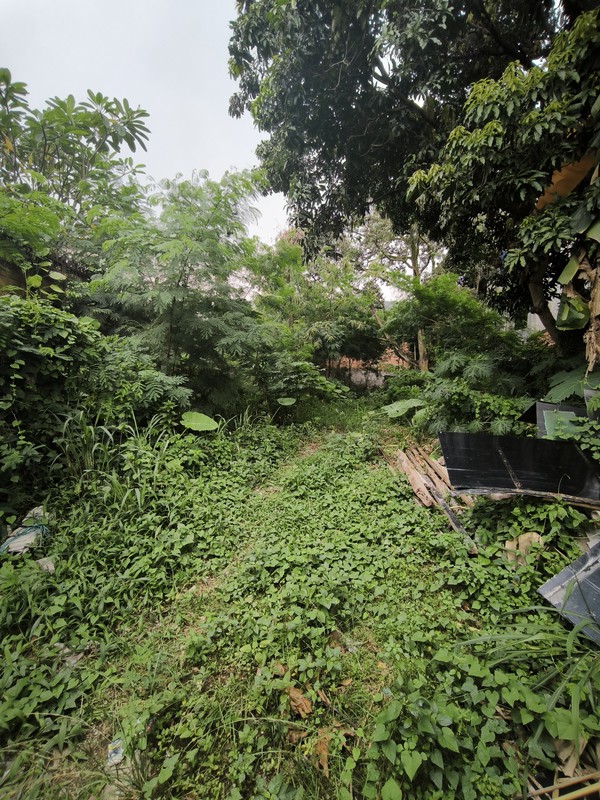 Tanah Dijual Dekat Bintaro Area, Lokasi Strategis
