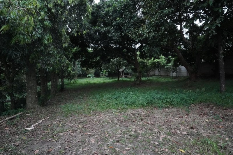 Dijual Tanah Kebun Buah2an Harga Murah  3.000 m&#xb2; - Arco Raya Sawangan.