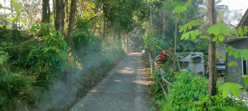 Rumah Tinggal Minimalis Lokasi Nyaman di Daerah Kasihan Bantul 