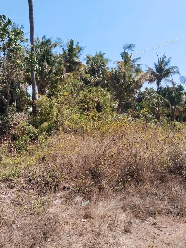 Investor's Dream - Lowest Priced Beachfront Land in Karangasem