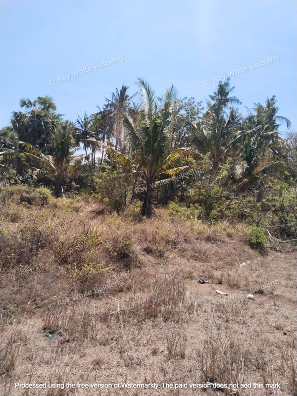 Investor's Dream - Lowest Priced Beachfront Land in Karangasem