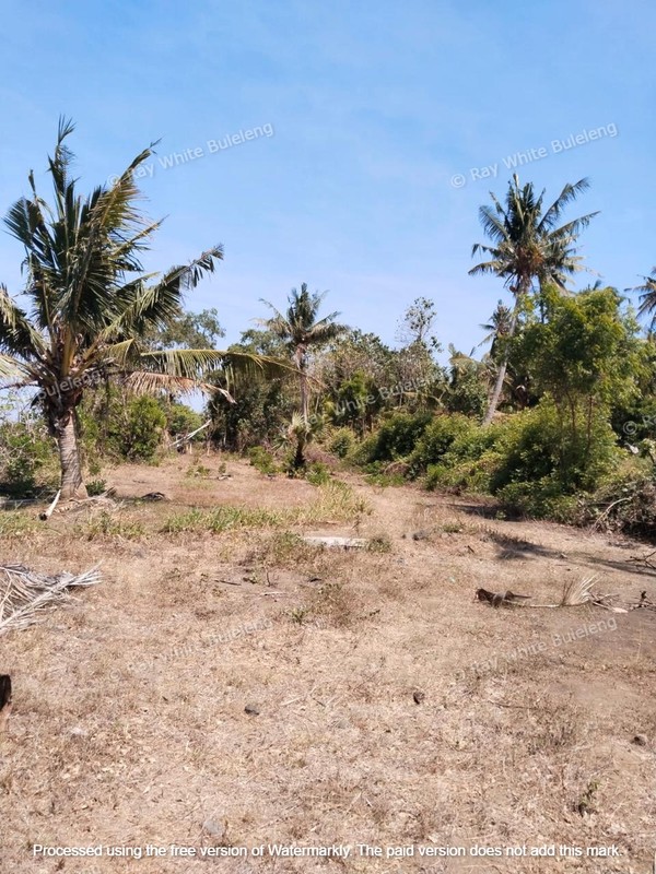 Investor's Dream - Lowest Priced Beachfront Land in Karangasem