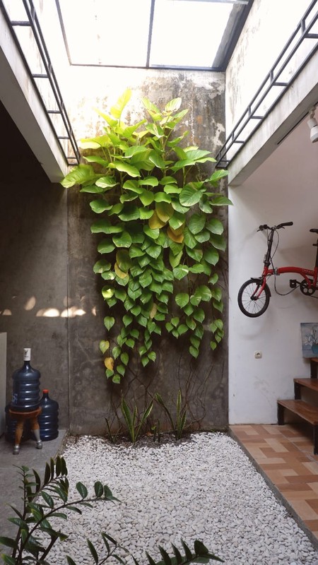 Rumah Cantik Siap Huni Lokasi di Plawonan Sedayu Bantul 