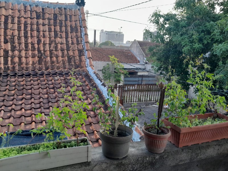 Dijual Rumah Strategis di Pandega Rini - Caturtunggal, Cocok untuk Homestay / Guest House