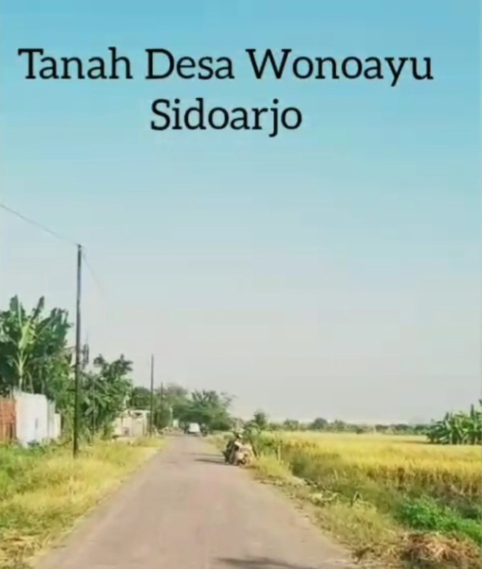 MURAH Dijual 3 Bidang Tanah Desa Wonoayu Sidoarjo Jawa Timur - Jalan Aspal Antar Desa - 100 Meter Dari Jalan Raya Propinsi Sidoarjo - Krian - Plot Kuning Pemukiman